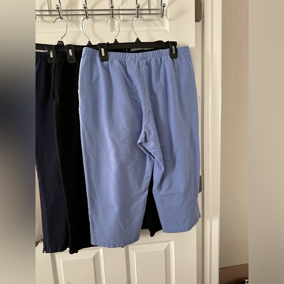 Ruby Rd. Capris Large - Picture 3 of 4